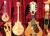 Ray Cooper Guitars - Acoustic Guitars