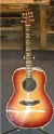 Ray Cooper Guitars - Acoustic Guitars