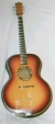 Ray Cooper Guitars - Acoustic Guitars